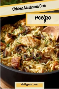Chicken Mushroom Orzo dish with tender chicken and creamy orzo pasta